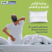 Picture of Almaamoun Fiber Pillow (medical ) 1000 gm