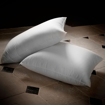 Picture of BedNHome Hollow Fiber pillow 1000 gm